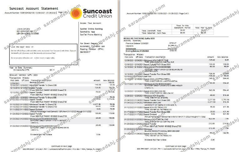 USA Suncoast bank statement Word and PDF template, 3 pages